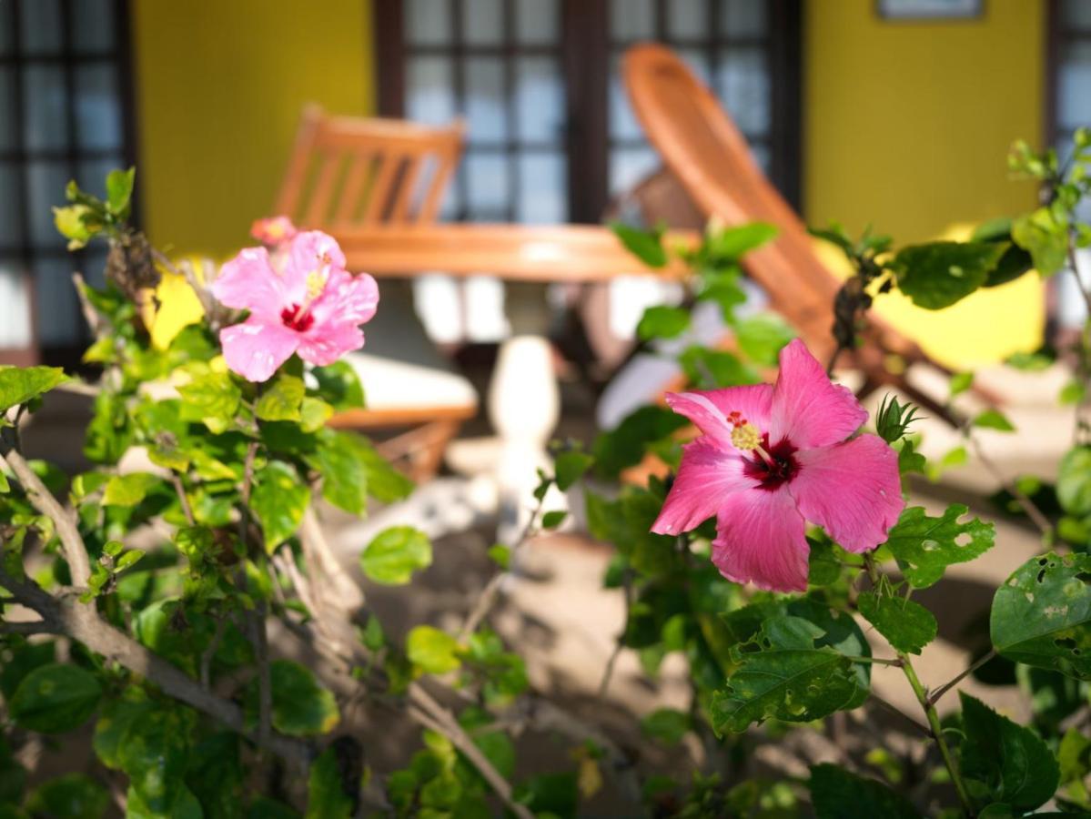 Las Flores Beachside Hotel Catmon Екстер'єр фото